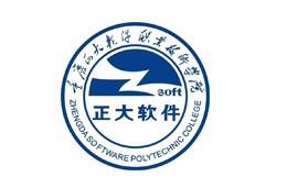 正大软件